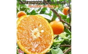  初夏のみかん　なつみ3kg　※2026年4月中旬頃〜2026年4月下旬頃順次発送（お届け日指定不可）/ みかん 蜜柑 フルーツ 果物 くだもの 【uot753A】