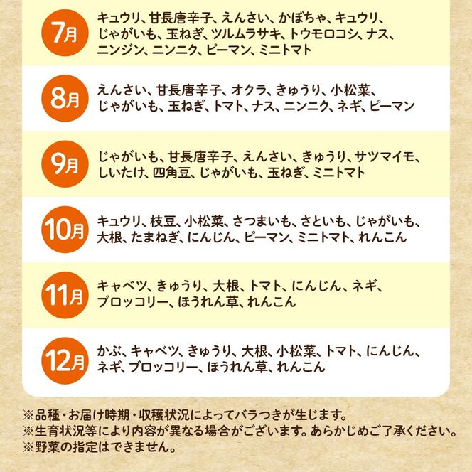 【毎月お届け】むなかた旬のお任せセット（野菜）7～9品【JAほたるの里】_HB0173