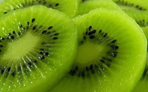 和歌山の下津で採れたキウイフルーツ約3.6kg（玉数おまかせ・秀品）※2026年1月中旬～3月上旬頃に発送 / キウイ キウイフルーツ 果物 くだもの フルーツ 先行予約 1月 【tec502B】