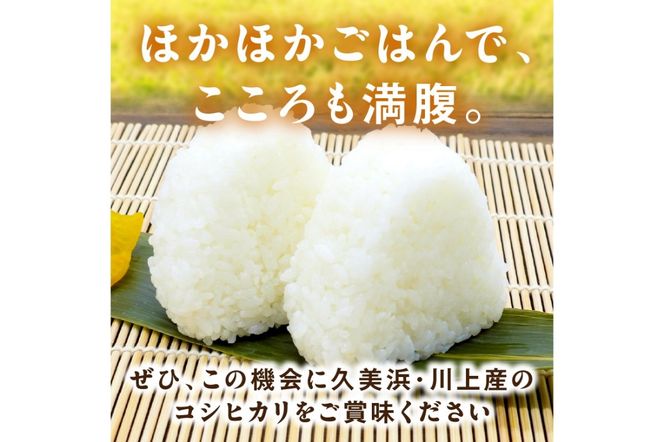 2025年産 京都・久美浜産 特別栽培米コシヒカリ 1.5kg　AL00006