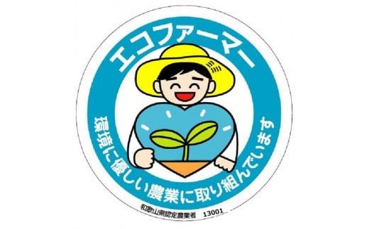 タネなし脱渋甘柿（刀根早生）　3Ｌサイズ28個入7.5kg箱 /柿 フルーツ 果物 くだもの 甘柿 タネなし 【art021A】