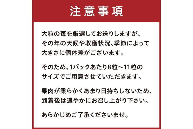 【京丹後産いちご章姫】農園直送便！新鮮大粒いちご 2パック ギフト箱入り／北畿水産　HK00159