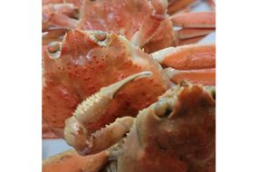 「訳あり」茹でセコガニ(コッペガニ)130g前後×5杯セット　SK00189