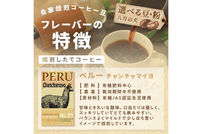 【栽培期間中農薬不使用】自家焙煎コーヒー豆 ペルー チャンチャマイヨ 500g（250g×2）　約50杯分　小分け　豆・粉 選べる　HA00024