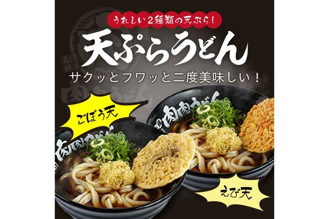 【A5-460】冷凍 肉肉うどん２食・天ぷらうどん２食・黒カレーうどん１食 バラエティセット