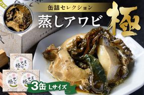 プレミアム蒸しアワビ 極（きわみ） Lサイズ　3缶セット　UO01229