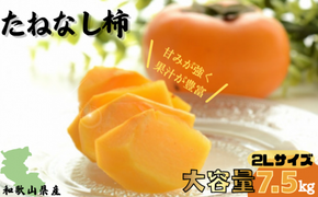 【先行予約】【JAわかやま】2Lサイズ たねなし柿 約7.5kg 【2025年9月下旬～10月下旬に順次発送致します。】 【jan002】