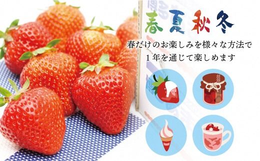 急速冷凍！人気のあまおう 冷凍いちご　福岡県特産品　大容量 1.6kg【JAほたるの里】_HA1513
