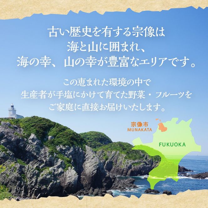 【偶数月お届け】むなかた旬のお任せセット(野菜・フルーツ) 9～11品 【JAほたるの里】_HB0174