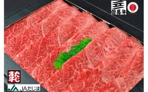【但馬牛】赤身スライス（モモ・肩部位）（500g）