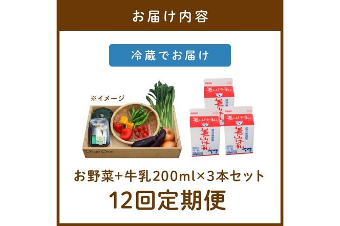 【定期便】合計12回お届け　有機野菜・京野菜の『京都やおよし』のお野菜＆牛乳200ml×3本の詰め合わせ　AA00045