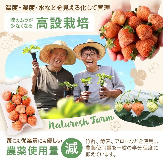 【先行予約】【2025年12月中旬より順次発送】福岡県産　桃薫　2パックセット【ナチュレッシュ・ファーム・ジェイピー】_HA1338