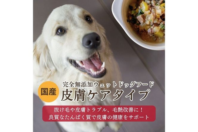 ys{Osz[YEFbghbOt[h] 畆PA^Cv (5pbN)@IC00019