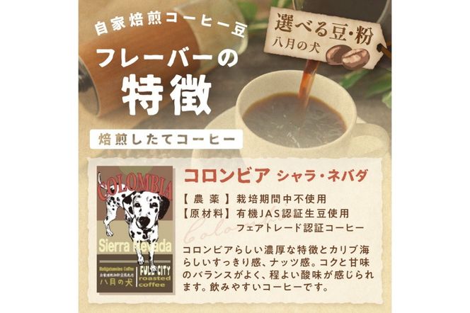【栽培期間中農薬不使用】自家焙煎コーヒー豆 コロンビア シエラネバダ 500g（250g×2） 約50杯分 小分け　豆・粉 選べる　HA00026