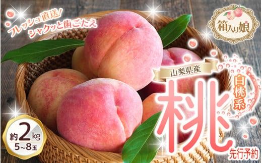 [2025年先行予約]朝もぎ直送「桃 白桃系」5〜8玉 約2kg規格箱入り[高機能共選機使用]選び抜かれた桃[もも 先行予約] 山梨県産 モモ/ フルーツ 果物 くだもの 人気 産地直送/厳選 贈答 贈り物