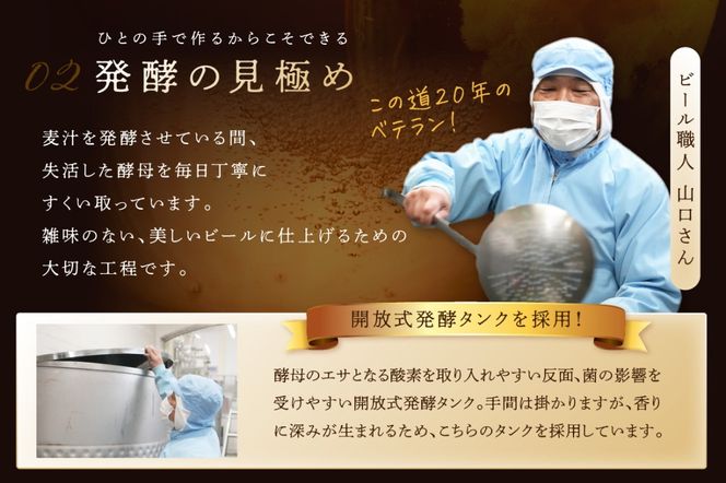 京都 丹後のクラフトビール 6缶セット TANGO KINGDOM Beer 6種 （350ml×6本）　TO00111