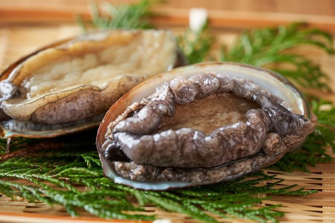 やわらか！絶品！アワビ酒蒸し 2枚入り　アワビステーキ アワビのお刺身 海鮮 魚介 魚介類 鮑 あわび 蝦夷鮑 蝦夷あわび 身厚 厳選 柔らかい 極上品 アワビ 鮑　YK00258