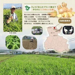 ハチミツ生姜ギフト5個セット（150ml×5個）/ はちみつ しょうが こうのとり生姜 食品 加工食品