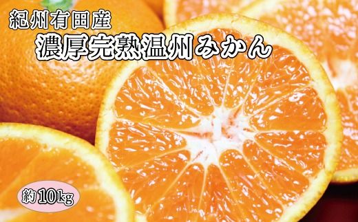  完熟有田みかん 10kg ※2025年11月下旬頃〜2026年1月下旬頃に順次発送予定(お届け日指定不可)/果物 フルーツ くだもの みかん 【uot705】