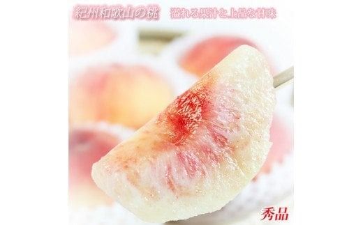 ya̎RI쒬zys\zGi@IBa̎RY̓@3ʁ@ϔ@2026N6{?2026N8{i͂wsj/    Mtg 蕨 v[g ăMtg ʕ t[c lC Yn a̎R  yuot750z