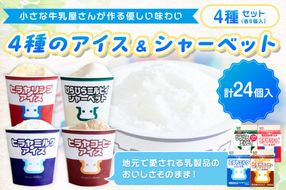 ヒラヤアイス24個セット　HG00003