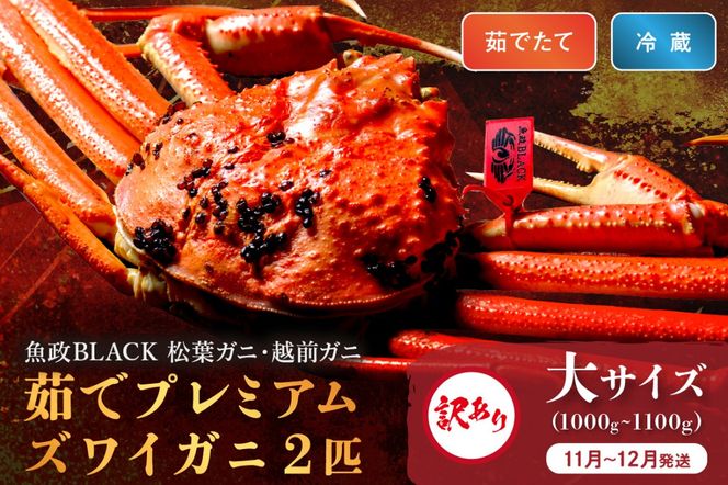 ys{Osz󂠂@yȈ z䥂Ł@v~AYCKj BLACKitKjEzOKjj TCYi1000`1100gj 2CZbg@(11`12)@UO01322