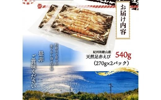  紀州和歌山産天然足赤えび540g（270g×2パック）化粧箱入 ※2025年11月末頃〜2026年1月下旬頃順次発送予定（お届け日指定不可）/  足赤 天然 おかず 【uot772A】