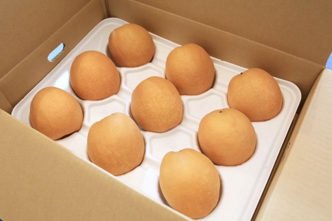 【先行予約／数量限定200】農家直送 秋の王様 「王秋」5kg（概ね7玉～12玉）（2026年11月上旬～発送）　DE00169