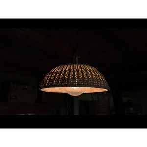 豊岡杞柳細工 育てる照明『tsukigasa』照明金具：ダクトレールタイプ（E26口金） /  ランプシェード 照明金具・電球付き 柳 半楕円体 伝統工芸品 天然素材 行李柳 コオリヤナギ