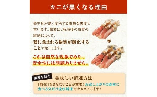 北見市加工 生冷本ズワイガニセット 1kg 昆布入り ( 蟹 かに 魚介類 カニ鍋 ズワイガニ ふるさと納税 贈答 熨斗 )【094-0052】