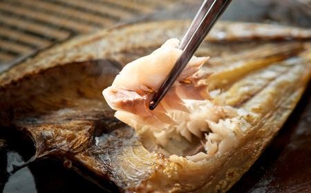 【城崎温泉おけしょう鮮魚】 自家製旬の干物セット 約4人前