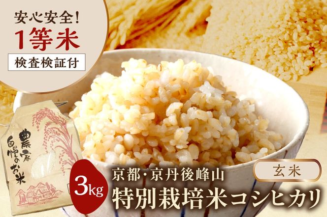 2025年産 京都・京丹後峰山 特別栽培米コシヒカリ 3kg 【玄米】 1等米 検査済証付　MF00049
