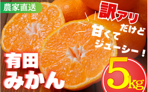 【訳あり】農家直送 有田みかん約5kg ご家庭用 サイズ混合 ※2025年11月中旬から2026年1月中旬までに順次発送予定（お届け日指定不可）※北海道・沖縄・離島への配送不可【nuk161B】