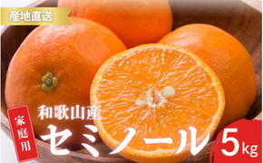 【先行予約】ご家庭用 セミノール 和歌山 有田 S～2Lサイズ 大きさお任せ 5kg【4月下旬～5月下旬頃に順次発送】/ みかん フルーツ 果物 くだもの 蜜柑 柑橘【ktn017A】