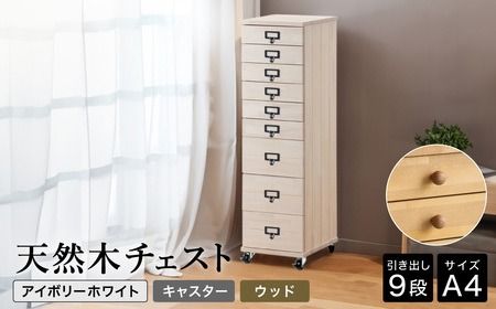 yɌLszVR؃`FXg 9i A4TCY AC{[zCgELX^[ED(Ebh)