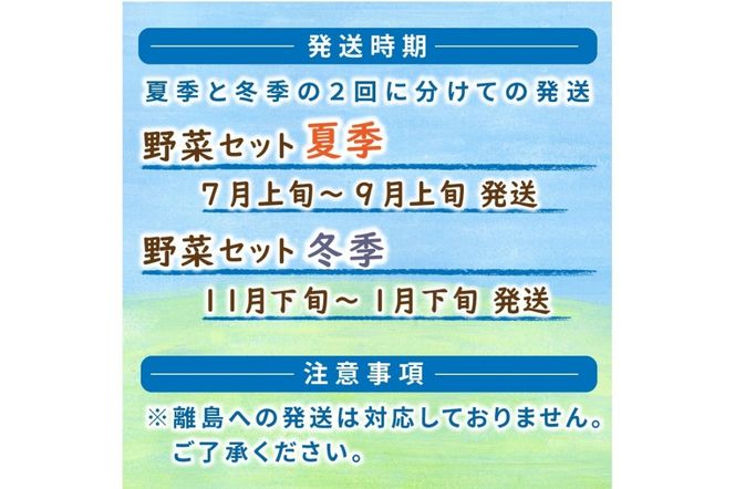 SORA農園有機野菜セット年2回（夏季・冬季）お届け　SN00004