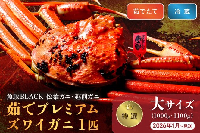 ys{OszyȈ z䥂Ł@v~AYCKj BLACKitKjEzOKjj TCYi1000`1100gj 1C (2026N1`)@UO01299