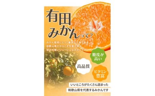 【2025年12月発送予約分】【家庭用】こだわりの有田みかん 約5kg＋250g(傷み補償分) ※サイズ混合 有機質肥料100% ※北海道・沖縄・離島配送不可  ＼光センサー選別 ! ／ 【農家直送】