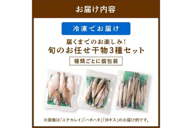 【最短2～5営業日以内に発送】京丹後の地元魚屋が作ったお任せ干物セット（冷凍）　TB00045SH