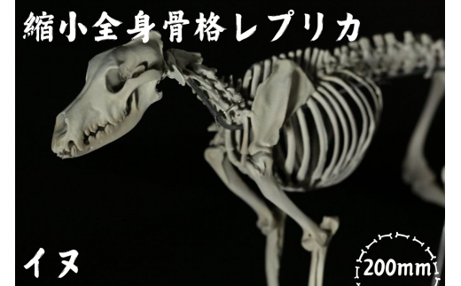 ya̎RI쒬zyCk z k SgivJ    /    vJ W{ RNV vf W{ vJ   tBMA CeA ͌^   i W ~j`A 3Dvg yanf003Az