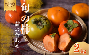 【☆令和7年産☆先行予約】【特秀】紀美野町産 旬の柿詰め合わせ 約2kg 【2025年10月上旬～11月下旬に順次発送致します。】/ 和歌山県 紀美野町 カキ 柿 太秋柿 紀ノ川柿 富有柿 早秋柿 秀