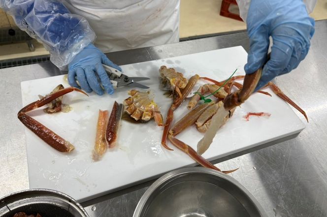 蟹しゃぶセット（間人蟹約800g×1杯分／蟹味噌付き・カニだし付き）　NJ00013