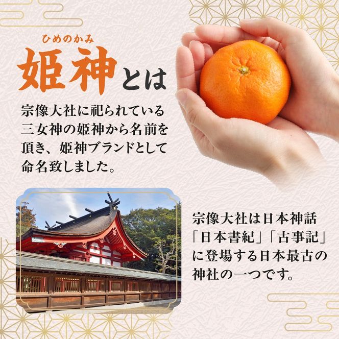 JAむなかたブランド「姫神」3kg 【2025年10月下旬～12月発送】【ほたるの里】_HA1346