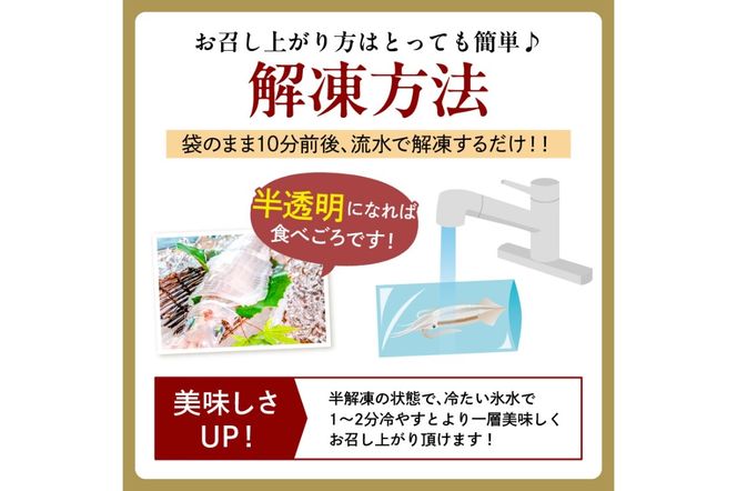 【先行予約】京丹後産　『海の京都』の逸品！！　活白イカ姿造り（クリスタル白いか）1人前サイズ2杯（150g前後）（2026年6月上旬～発送） 	YK00542