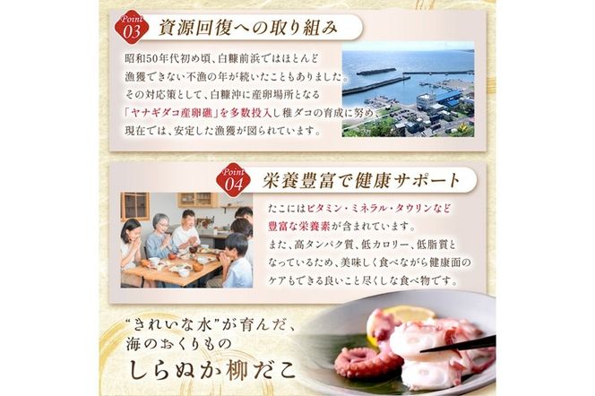 しらぬか産刺身用柳だこ【600g×2個入り】