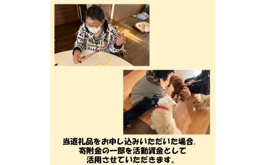 《14営業日以内に発送》小型犬用首輪 2個 リード 2本 4点セット ( ペット 犬 小物 わんこ 手作り 首輪 リード )【195-0003】