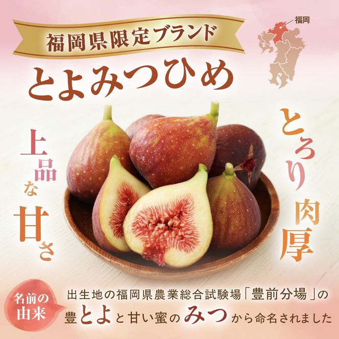 【寄附額改定！】プレミアムいちじく とよみつひめ　1.2kg【JAほたるの里】_HA0278