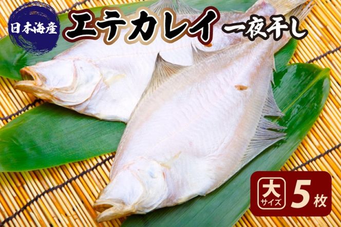 ys{OszyXꉟIiIs[gIzGeJC銱@TCYi[HTCYj5@YK00154