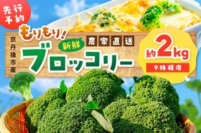 【先行予約】もりもり！ブロッコリー 約2kg（2025年11月上旬～発送）　9株程度 冷蔵 農家直送 ぶろっこりー 野菜 京野菜 新鮮　MY00005