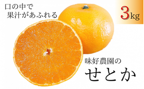 【先行予約・数量限定】 地元で大人気の 秀品 せとか 3kg 【M～2Lサイズ混合】【2025年3月中旬から3月下旬頃に順次発送】〈味好農園〉 /ミカン 蜜柑 柑橘 フルーツ くだもの 果物 甘い ジューシー 果汁があふれる【agy024】